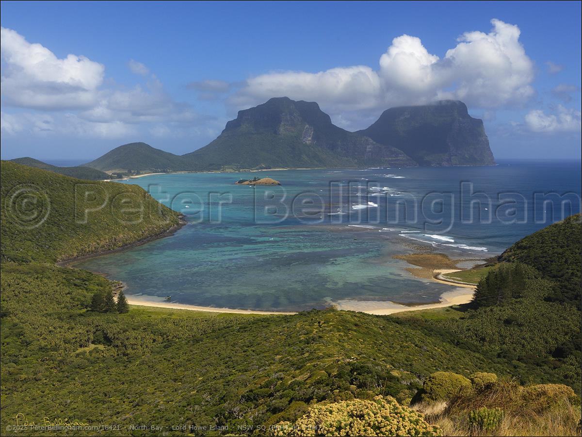 Peter Bellingham Photography North Bay - Lord Howe Island - NSW SQ (PBH4 00 11947)